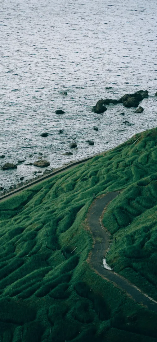 海岸草坡手机壁纸｜临海公路礁石海洋背景图片 - 治愈自然风景「哲风壁纸」