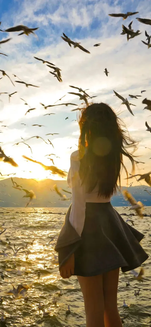 jk美女手机壁纸｜海边日落背景图片 - 海鸥氛围感少女「哲风壁纸」