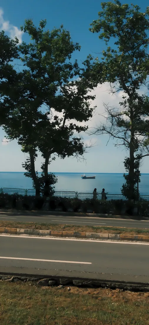 滨湖大道手机壁纸｜临湖道路背景图片 - 晴天蓝天白云绿树风景「哲风壁纸」