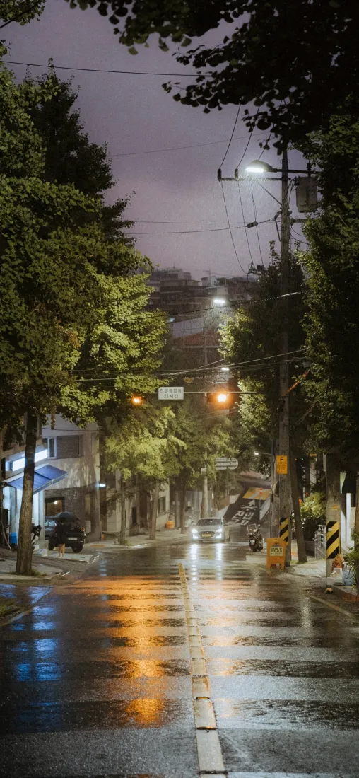 雨夜马路手机壁纸｜城市街道背景图片 - 路灯积水倒影「哲风壁纸」