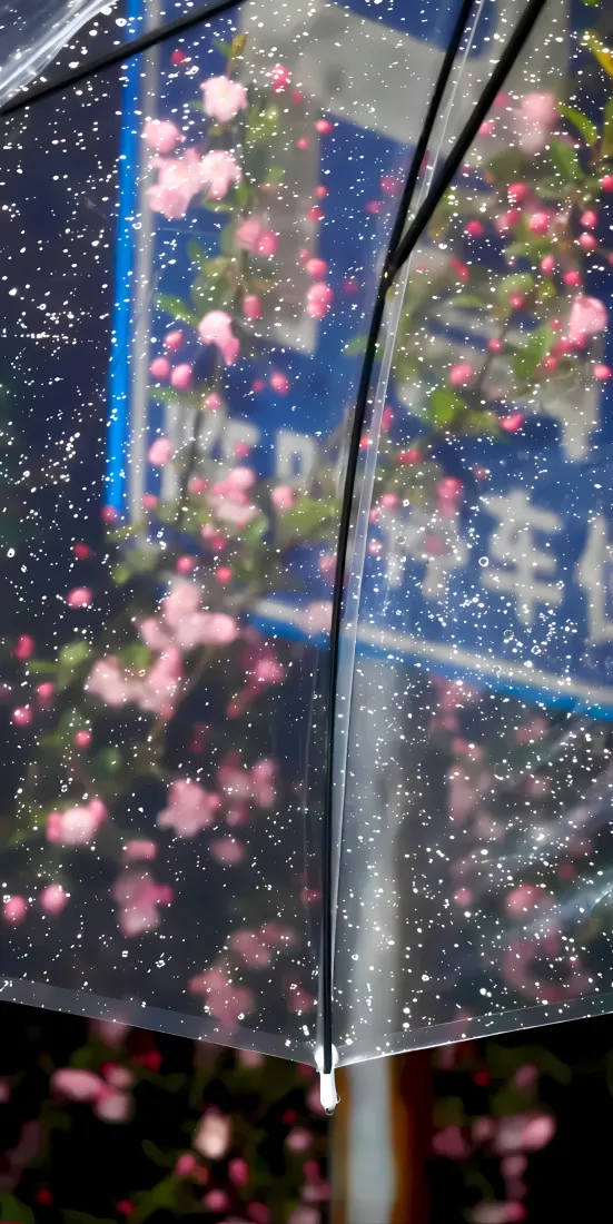 梅花透明伞手机壁纸｜雨天窗外背景图片 - 粉色花景「哲风壁纸」