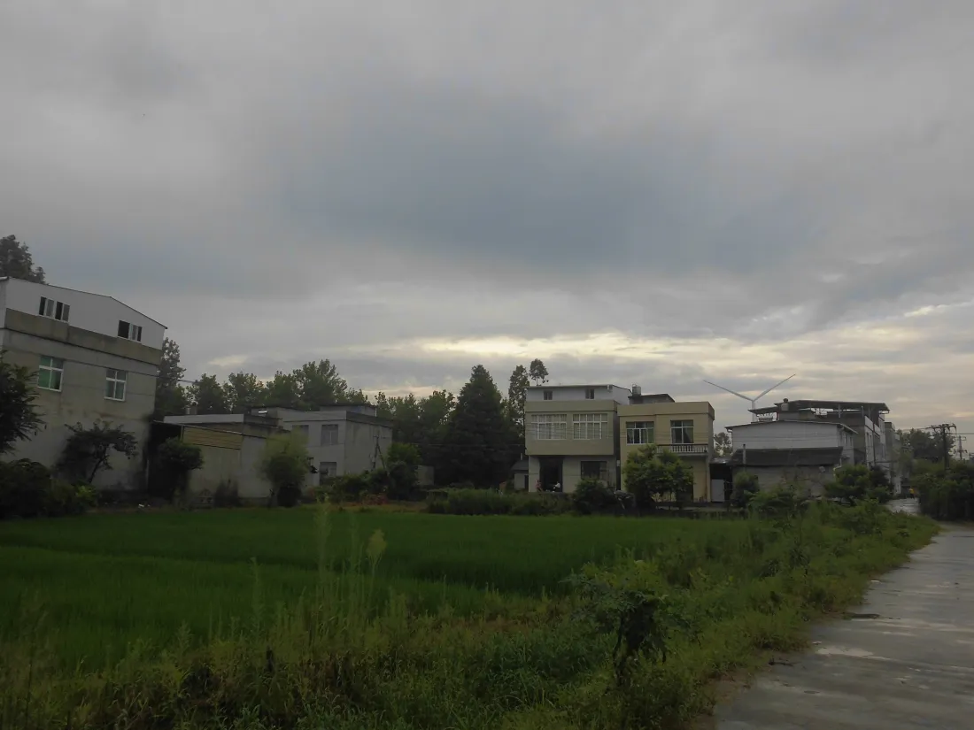 5k稻田乡村壁纸｜乡间民居道路背景图片 - 阴天自然风光「哲风壁纸」