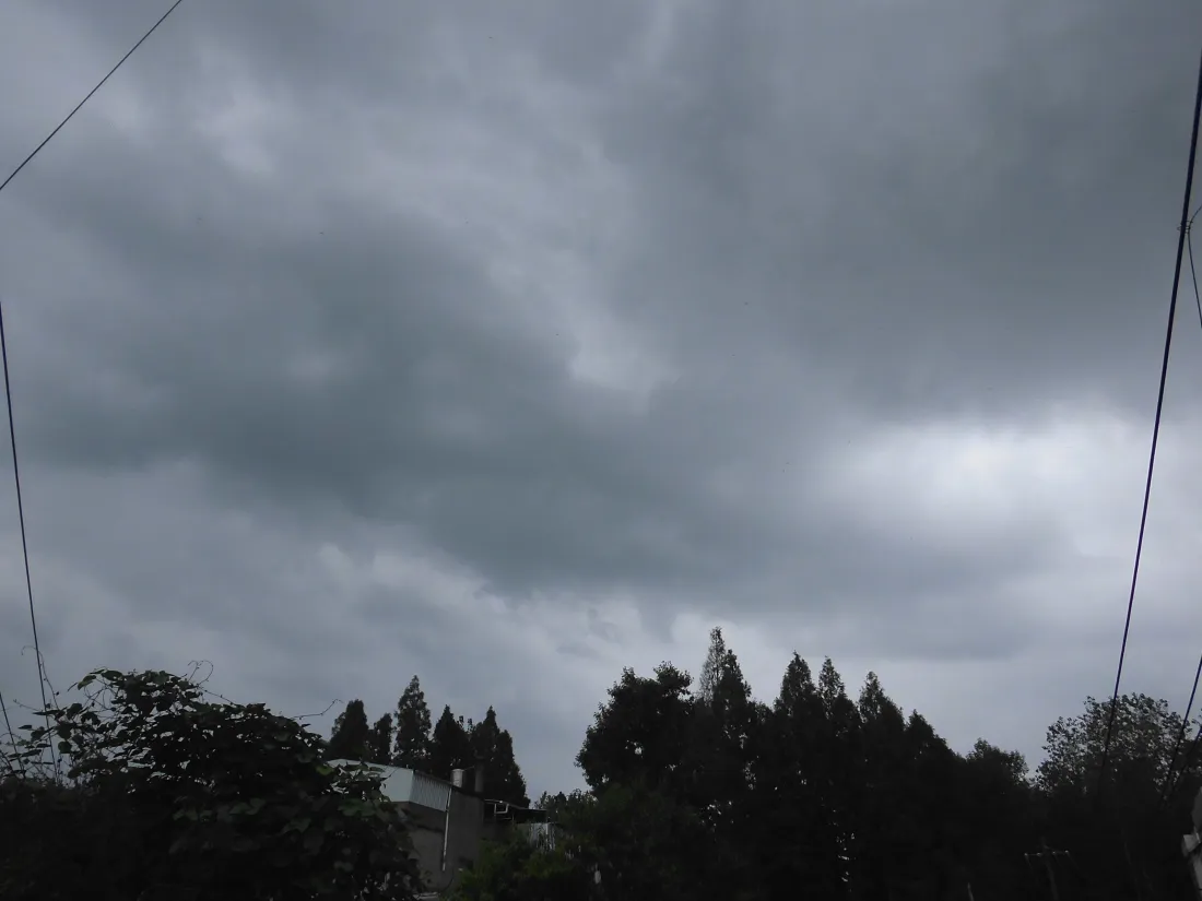 5k乌云壁纸｜阴沉天空林间树梢背景图片 - 阴雨天自然景观「哲风壁纸」