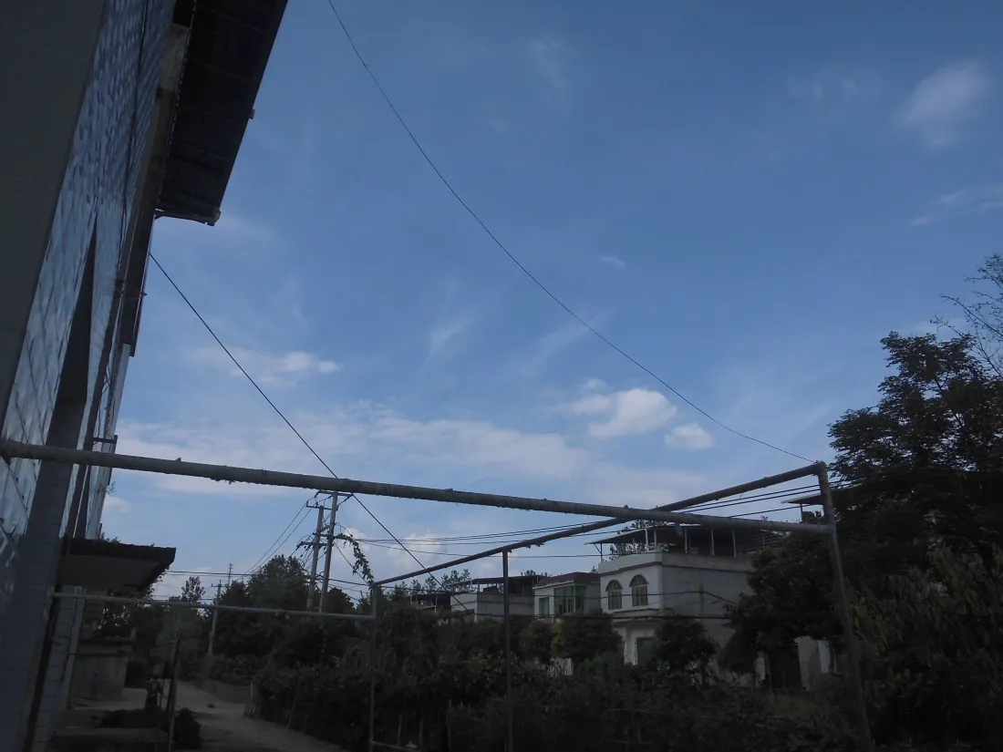 5k乡野晴空壁纸｜树梢民居背景图片 - 晴朗户外自然风光「哲风壁纸」