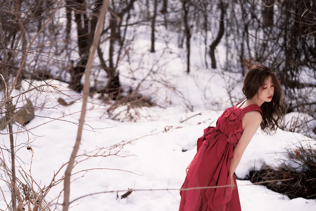 4k红裙女生｜冬日雪地树林背景图片 - 氛围感户外写真「哲风壁纸」