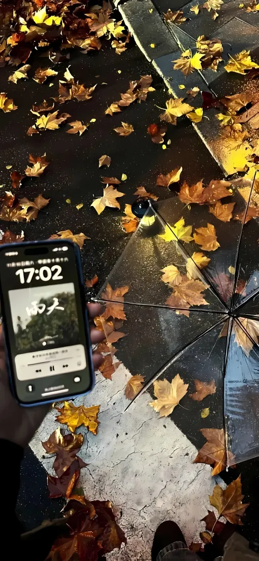 秋日枫叶手机壁纸｜雨天街景背景图片 - 透明伞落叶氛围感「哲风壁纸」