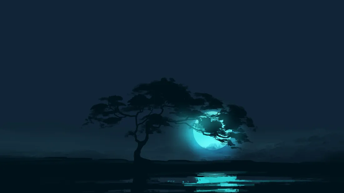 6k月夜海边孤树壁纸｜静谧水面背景图片 - 冷调夜景「哲风壁纸」