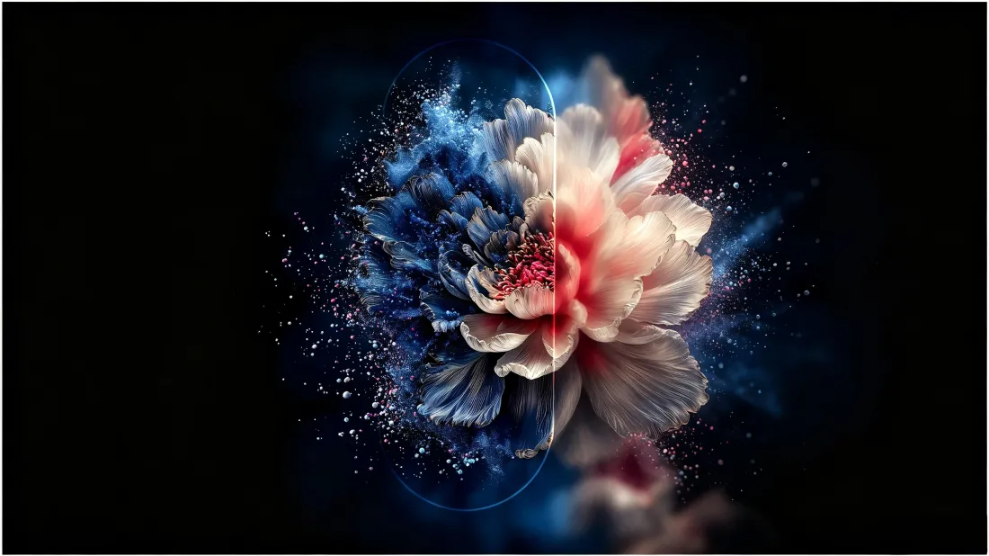 3k双色牡丹壁纸｜粒子消散背景图片 - 梦幻艺术花卉「哲风壁纸」