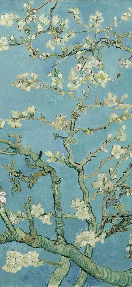 盛开的杏花手机壁纸｜油画背景图片 - 梵高蓝底白花水墨花枝「哲风壁纸」