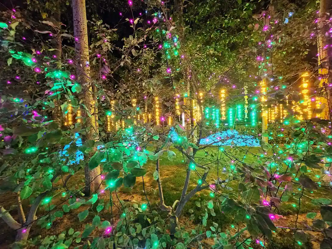 4k树林夜景壁纸｜彩灯装饰背景图片 - 梦幻光影氛围「哲风壁纸」