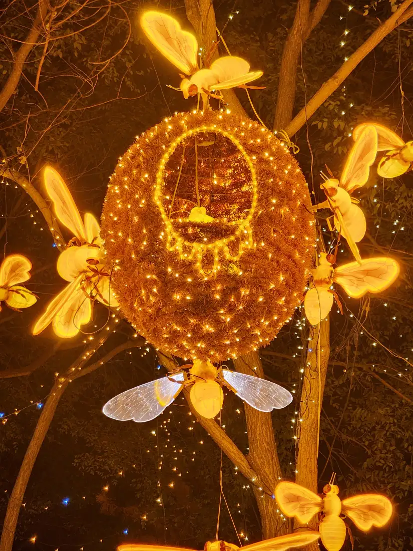蜜蜂蜂巢造型灯手机壁纸｜夜景暖光背景图片 - 树上节日装饰「哲风壁纸」