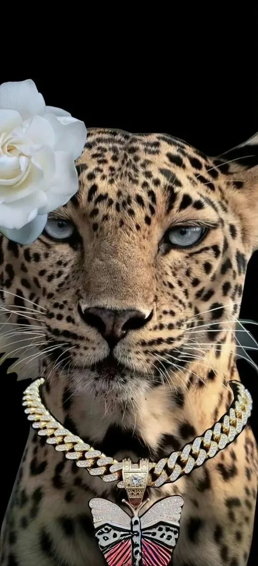 豹子手机壁纸｜戴金链配白玫瑰背景图片 - 潮酷猎豹特写「哲风壁纸」