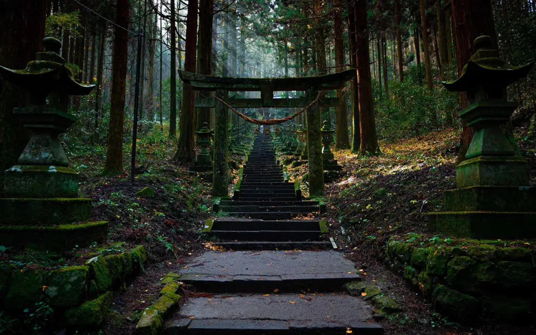 3k森林神社鸟居｜林间石阶背景图片 - 静谧幽森苔藓古建「哲风壁纸」