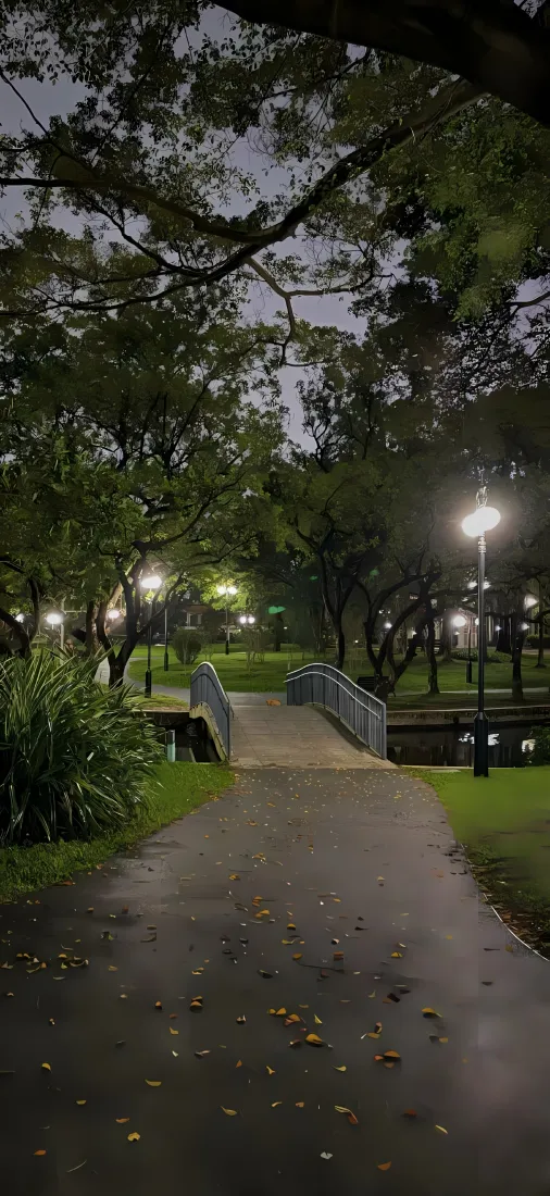公园夜景手机壁纸｜林间步道背景图片 - 路灯草地「哲风壁纸」