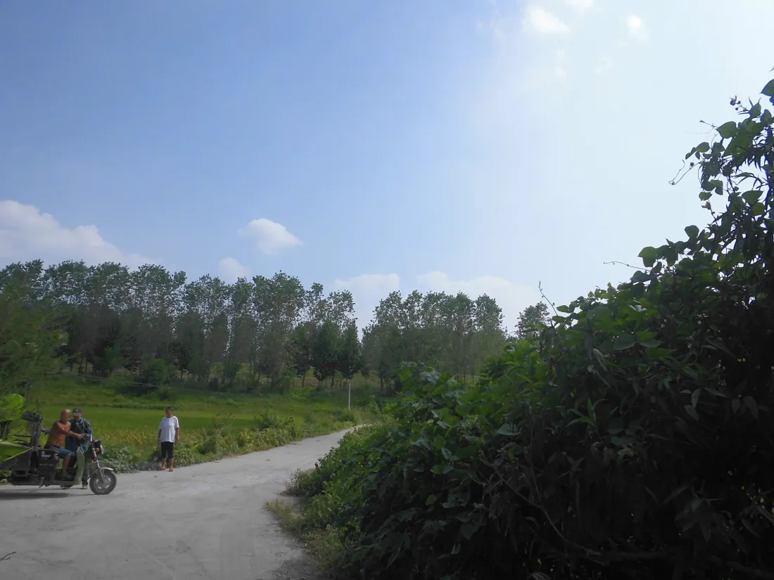 5k乡村道路壁纸｜郊野蓝天背景图片 - 绿野林丛骑行漫步「哲风壁纸」