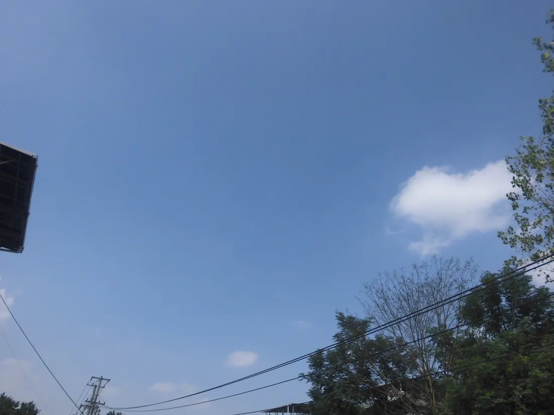 5k蓝天壁纸｜白云背景图片 - 绿树电线晴朗天空「哲风壁纸」