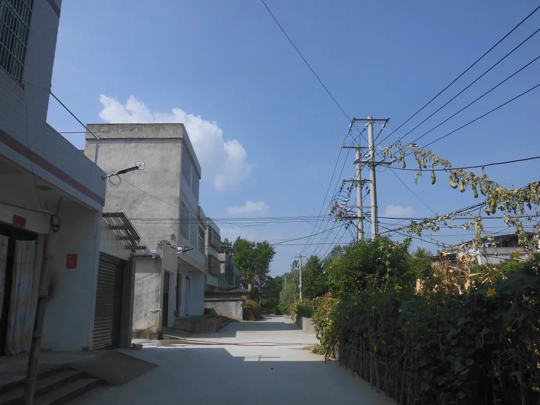 5k乡村街道壁纸｜晴朗蓝天背景图片 - 民居绿植电线杆街景「哲风壁纸」
