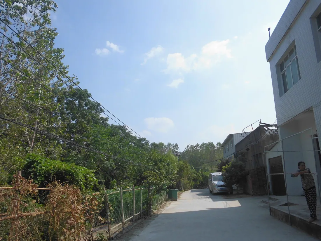 5k村庄乡道壁纸｜晴朗蓝天绿树背景图片 - 白墙民居乡村街景「哲风壁纸」