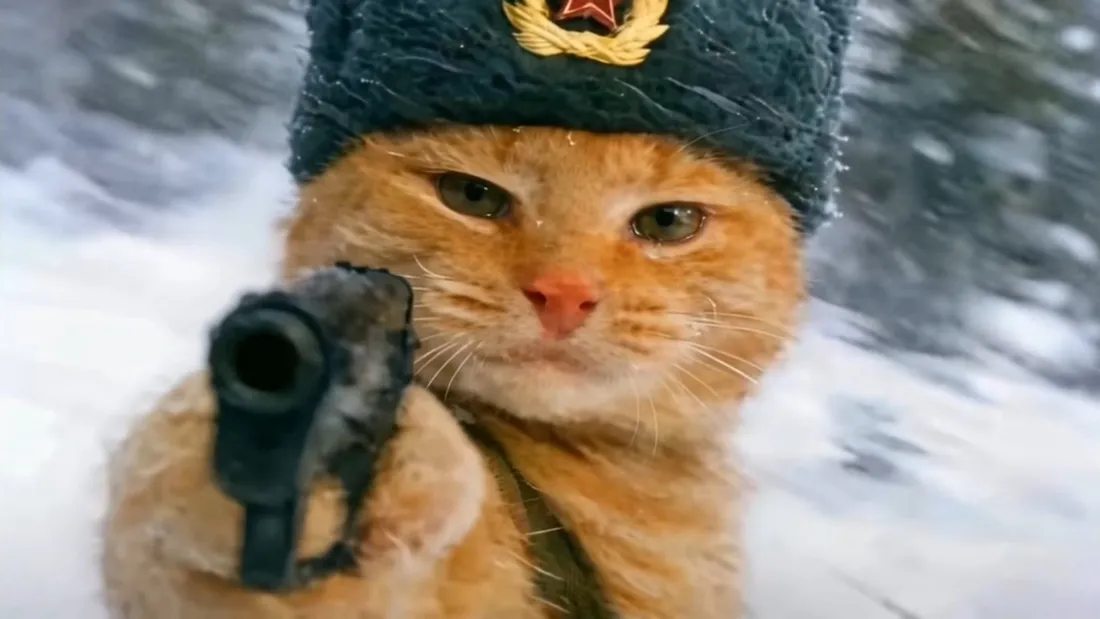 3k橘猫｜雪地军帽持手枪背景图片 - 搞怪萌宠「哲风壁纸」