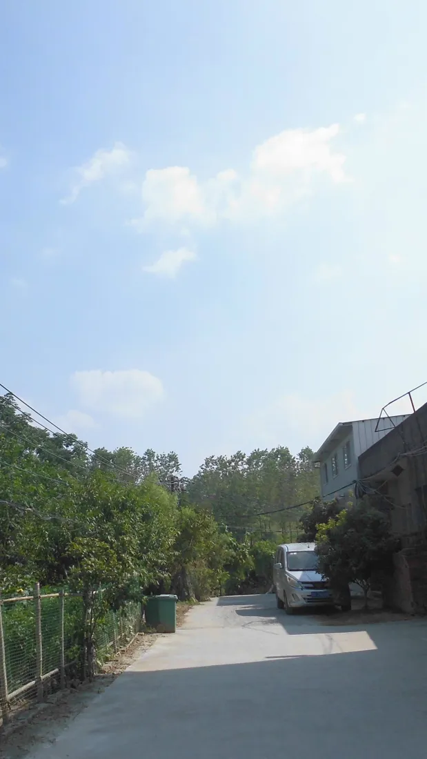乡道风景手机壁纸｜蓝天村路背景图片 - 民居绿植「哲风壁纸」