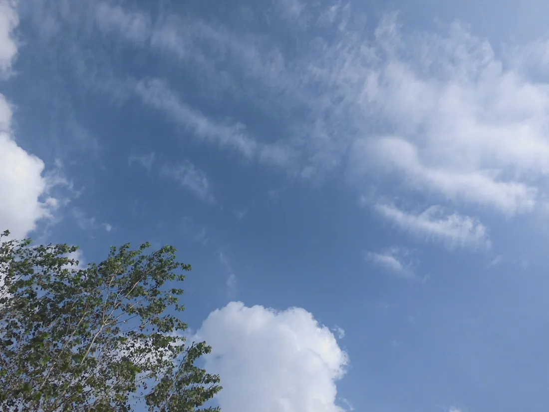 5k蓝天白云壁纸｜晴朗天空背景图片 - 绿树晴空「哲风壁纸」