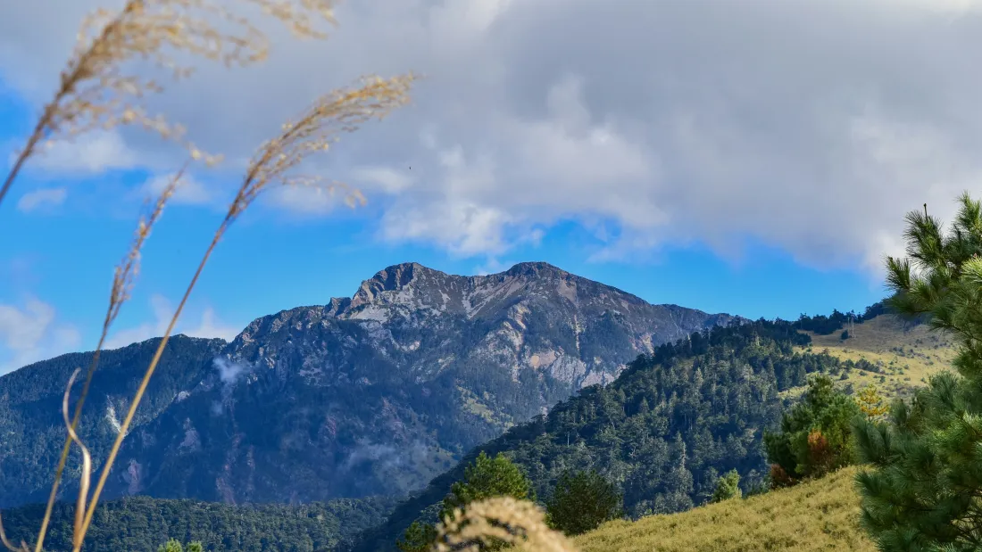6k高山草甸壁纸｜青山蓝天背景图片 - 白云森林草甸自然风光「哲风壁纸」