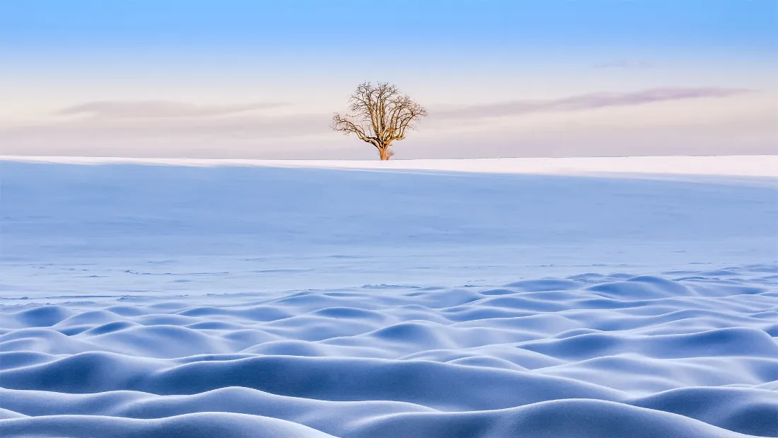 2k雪原孤树壁纸｜冬日旷野背景图片 - 蓝天雪丘静谧风景「哲风壁纸」