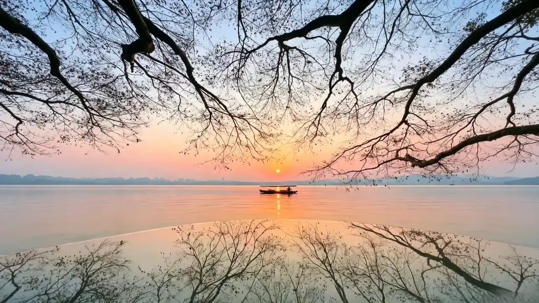 3k西湖日出｜湖面背景图片 - 树枝框景小船倒影「哲风壁纸」