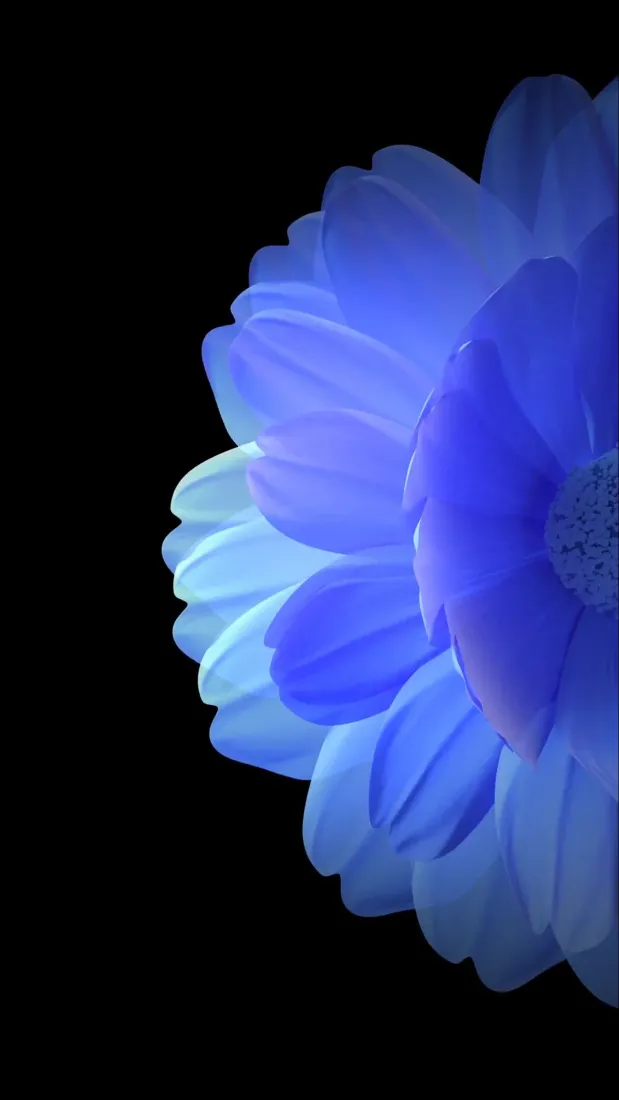 发光蓝花手机壁纸｜黑色背景图片 - 氛围感花卉特写「哲风壁纸」