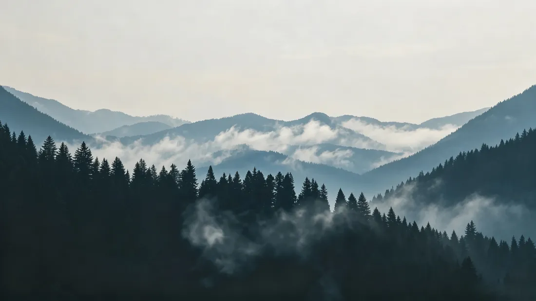 3k山林云海壁纸｜雾绕层峦背景图片 - 静谧治愈自然风景「哲风壁纸」