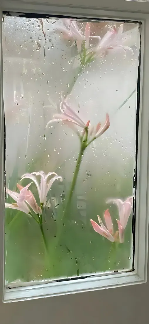 粉花石蒜手机壁纸｜朦胧水雾背景图片 - 窗边雨景「哲风壁纸」