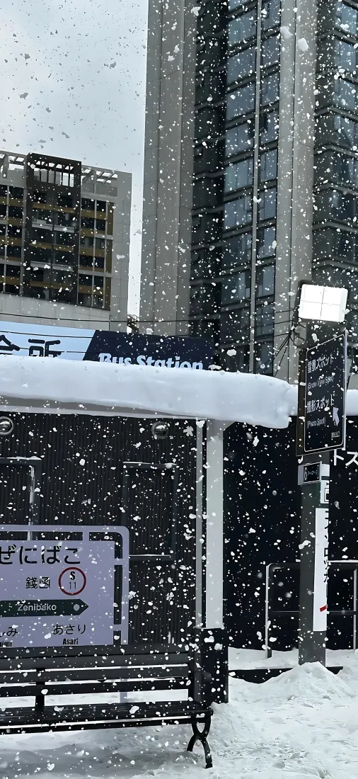 公交站雪景｜城市街景背景图片 - 冬日飞雪都市街景「哲风壁纸」