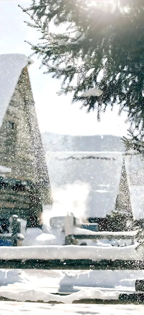 冬日雪天房屋｜背景图片 - 松枝落雪户外雪景「哲风壁纸」
