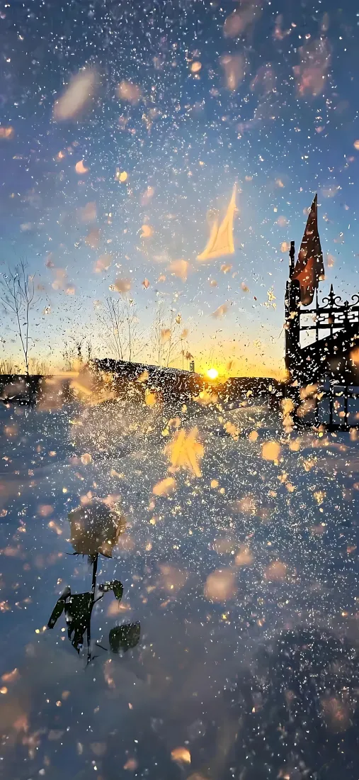 玫瑰雪景｜日落城堡背景图片 - 冬日梦幻光斑「哲风壁纸」