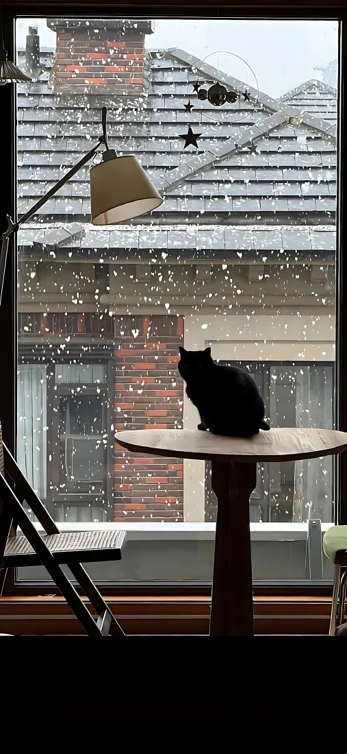 黑猫手机壁纸｜窗边雪景背景图片 - 冬日居家静谧氛围「哲风壁纸」