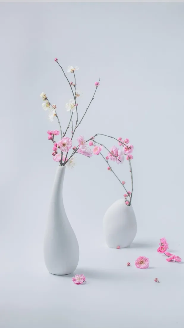 梅花插花手机壁纸｜简约静物背景图片 - 清新禅意「哲风壁纸」