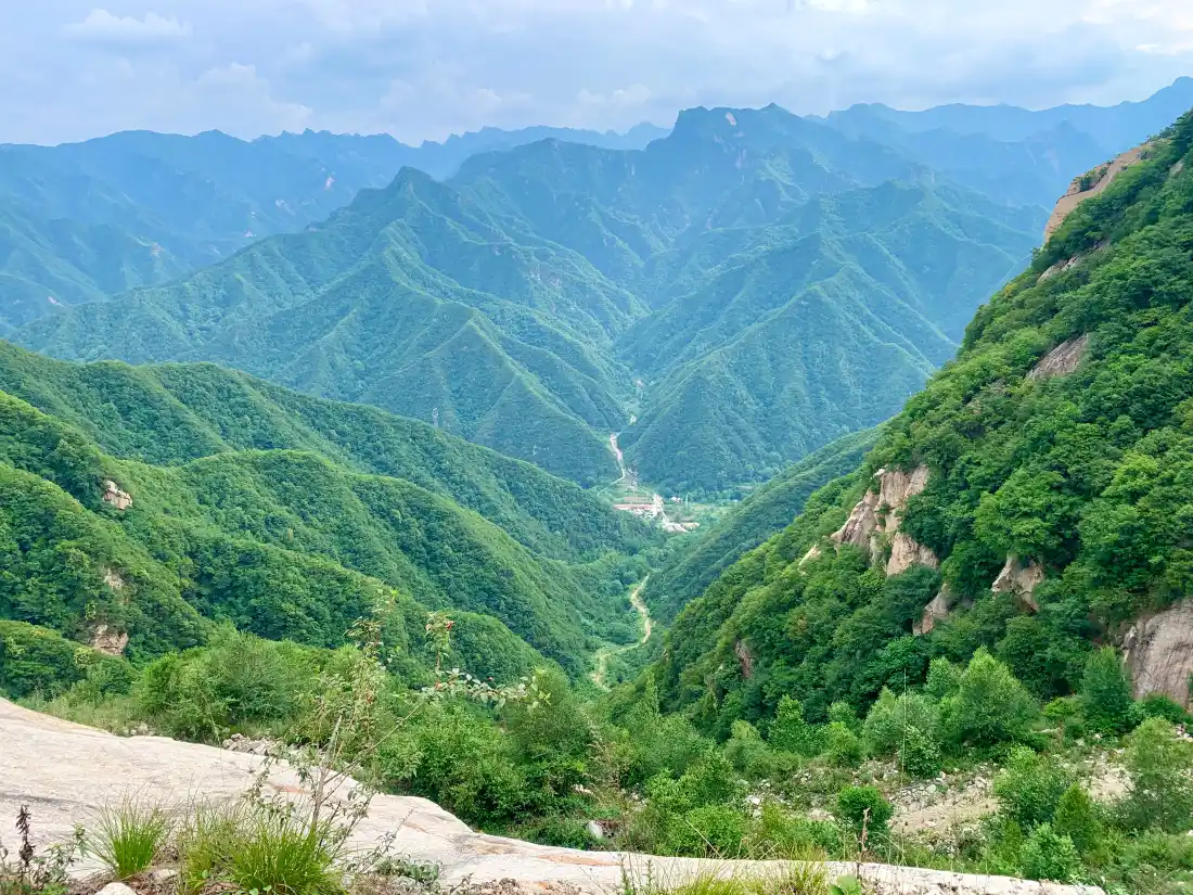 4k天空壁纸 - 植被 - 绿植 - 远山「哲风壁纸」