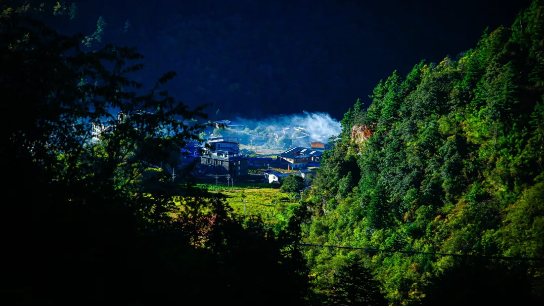 6k山野山村壁纸｜森林夜景背景图片 - 灯火草甸静谧自然「哲风壁纸」