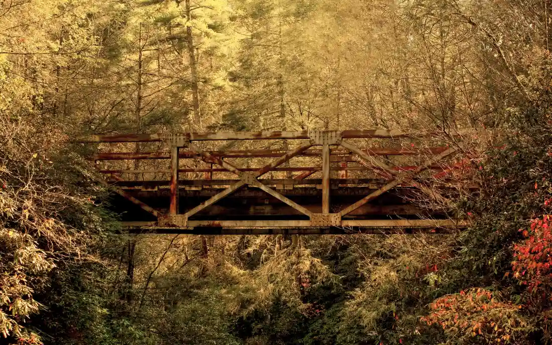 3k秋日森林铁桥｜暖光秋林背景图片 - 红叶山林静谧风景「哲风壁纸」