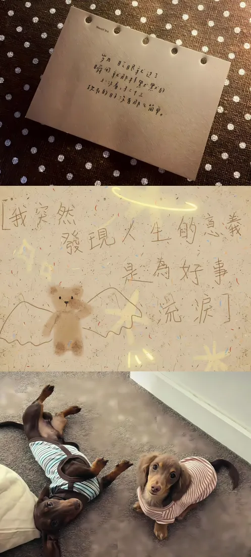 腊肠狗手机壁纸｜手账便签背景图片 - 萌宠治愈日常「哲风壁纸」