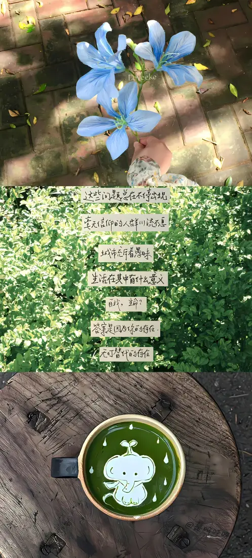 抹茶咖啡｜蓝花绿植背景图片 - 卡通拉花治愈场景「哲风壁纸」
