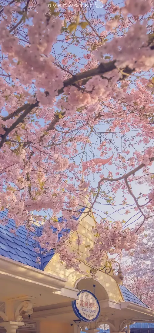 4k户外壁纸 - 钟楼 - 蓝天 - 浪漫「哲风壁纸」