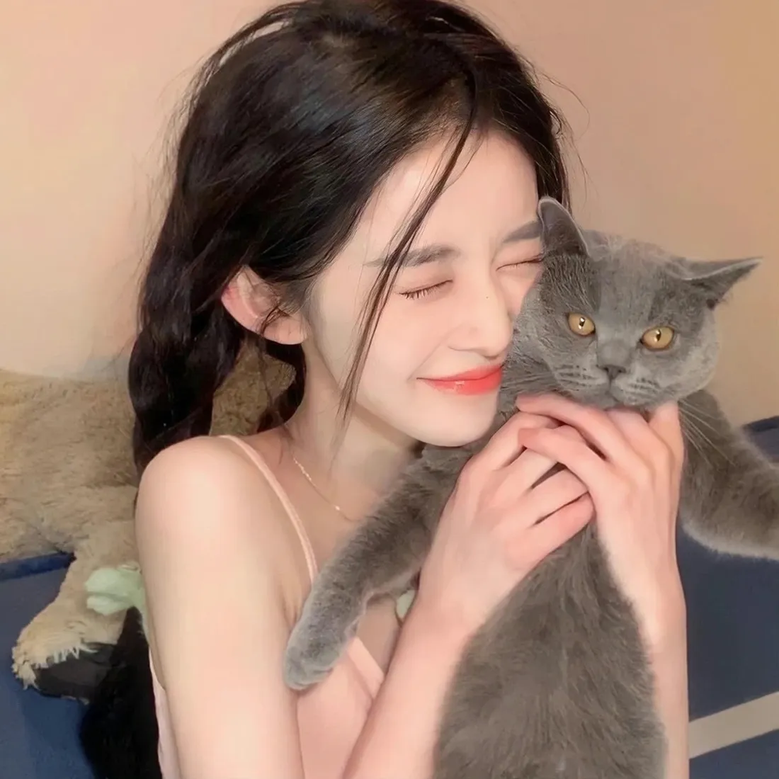 美女抱英短蓝猫手机壁纸｜居家温馨背景图片 - 治愈日常「哲风壁纸」