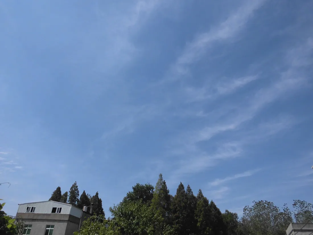 5k蓝天壁纸｜晴朗背景图片 - 树木建筑日间风景「哲风壁纸」