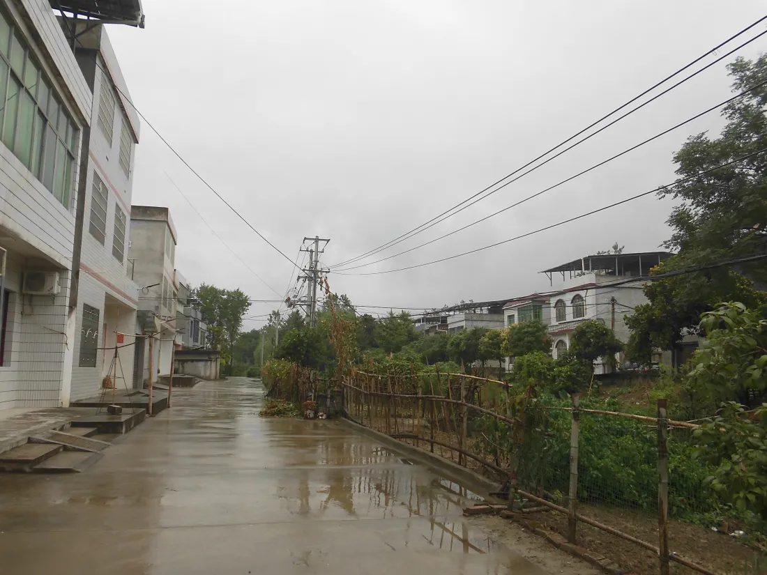 5k村庄壁纸｜雨后乡村背景图片 - 民居道路绿植阴雨天「哲风壁纸」