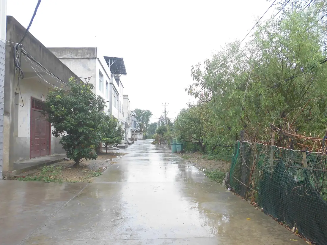 5k村庄壁纸｜雨后乡村道路背景图片 - 民居绿树乡野景致「哲风壁纸」