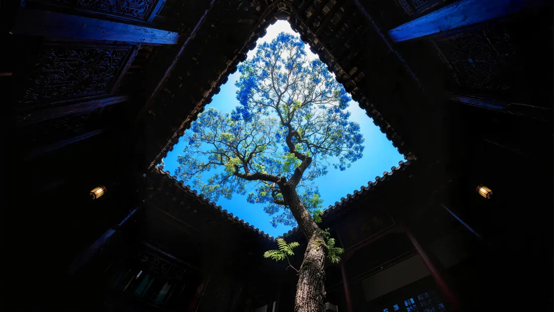 4k蓝花树天井壁纸｜中式古建仰拍背景图片 - 蓝天框景「哲风壁纸」