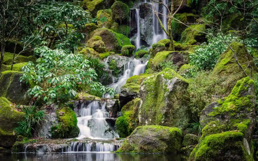 4k山林瀑布壁纸｜背景图片 - 青苔岩石溪流自然风景「哲风壁纸」