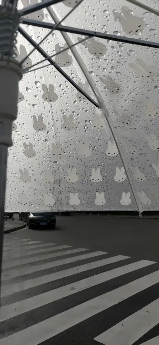 兔子雨伞手机壁纸｜背景图片 - 黑白街景斑马线雨滴「哲风壁纸」