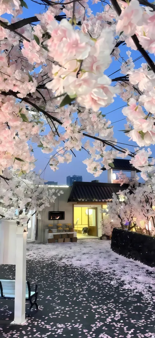 樱花庭院手机壁纸｜落英缤纷背景图片 - 蓝粉春日街景「哲风壁纸」